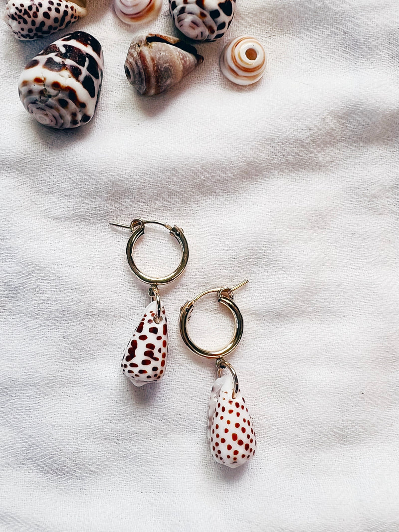 Ready To Ship Cone Shell Earrings